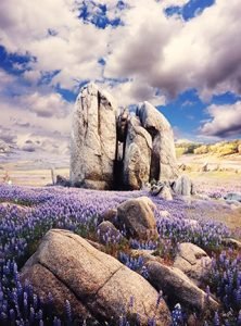 Photograph by Michael Randolph